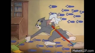 IMG_1375.gif