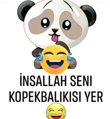 70ce8a5187ced5505b8c451abc98108f.jpg