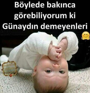 9eb37753bc7ede8baf15dc7b31d39503.jpg
