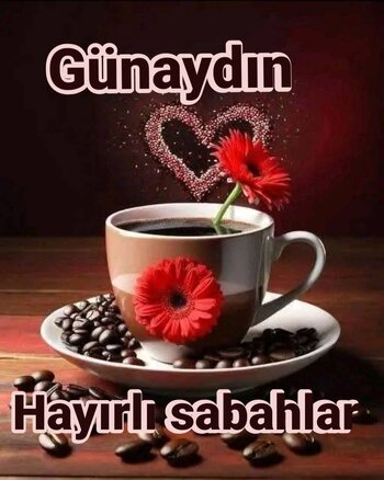 31c12bc00aee5b17917adf5afd69ba2e.jpg 31c12bc00aee5b17917adf5afd69ba2e.jpg
