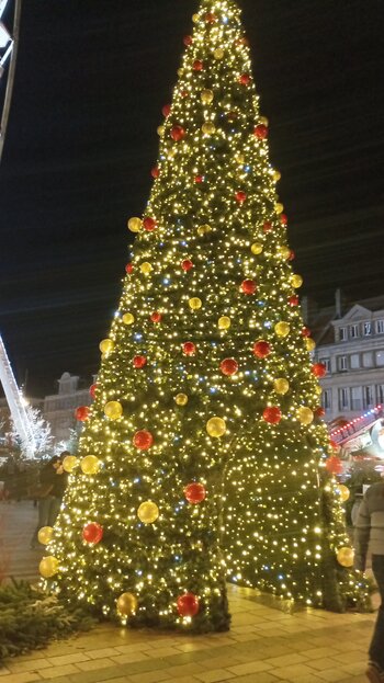 IMG_20251218_174037_490.jpg