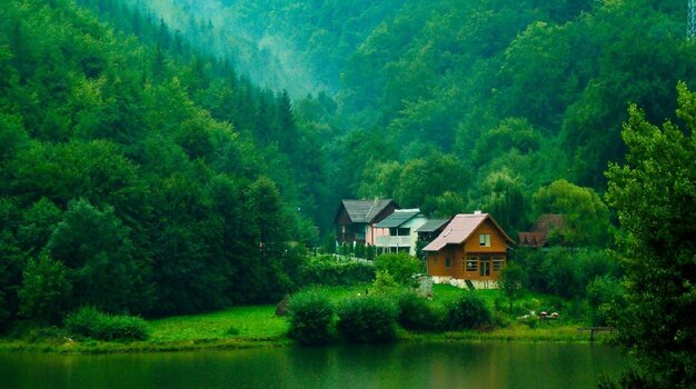 a2.JPG
