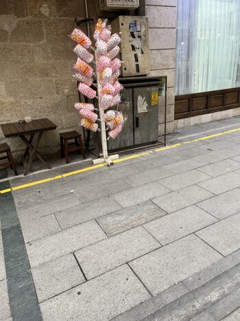 IMG_1637.jpeg