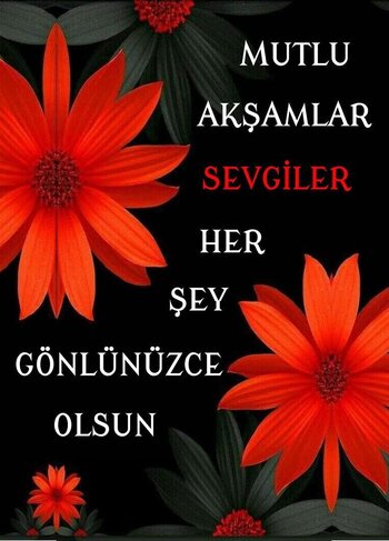 86c5ce3f96acd98f57f8a8218baf1bab.jpg