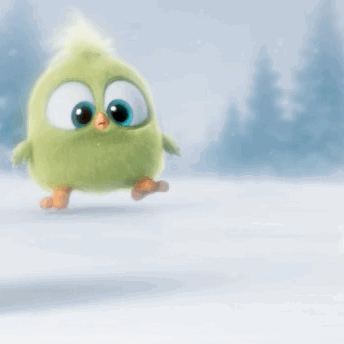 IMG_1256.gif