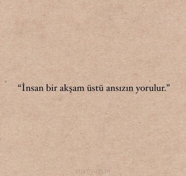 1000105986.jpg