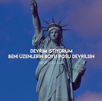 1770226239159.png