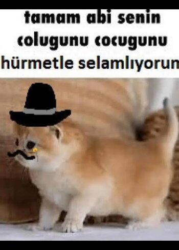 1771797048992.jpeg