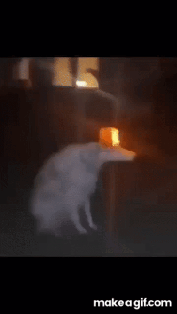 1000283676.gif
