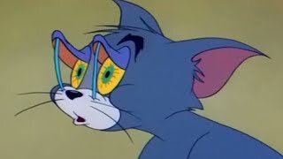 IMG_2954.jpeg