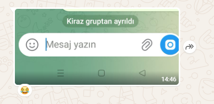 1774087738465.png