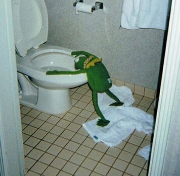 IMG_1384.jpeg