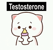 testosterone-milk-and-mocha.gif