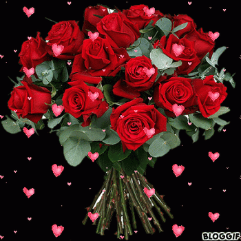 fb6d862e848a368faec9b1895e091cbd.gif
