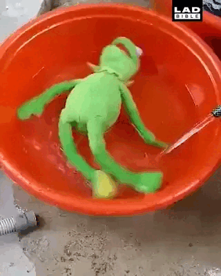 9iBIdXITr6LoVf8XgY.gif 9iBIdXITr6LoVf8XgY.gif