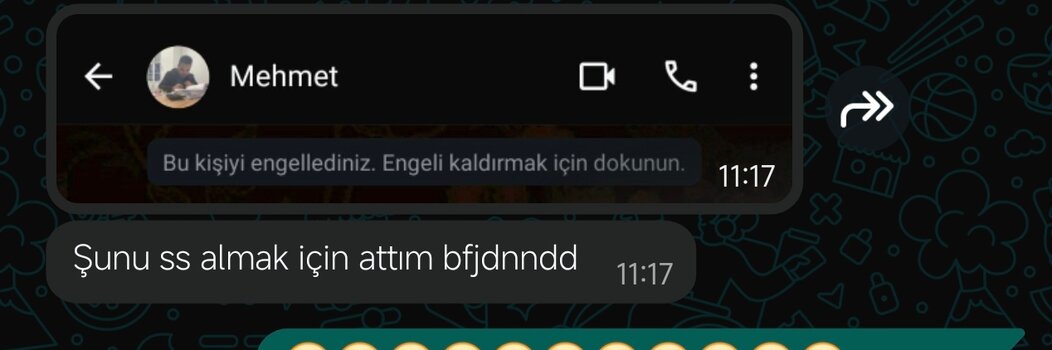 20828.jpg 20828.jpg