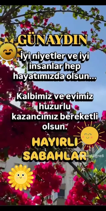 e7e0bbfd68972a3ead2d3bb085b9ade5 (1).webp