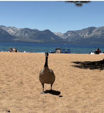 IMG_0316.jpeg
