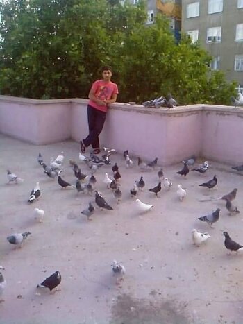 2005dameskiev.jpg 2005dameskiev.jpg