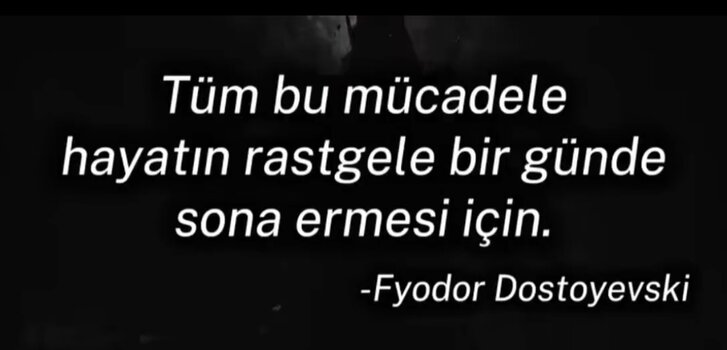 29084.jpg