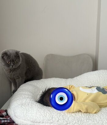 IMG_0617.jpeg IMG_0617.jpeg