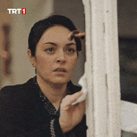 1786035848491.gif 1786035848491.gif