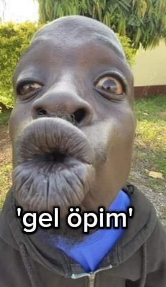 2469.jpg