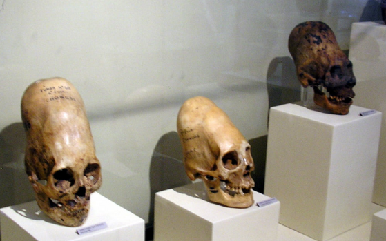 image_227.png