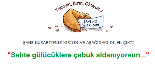 1787115359023.png