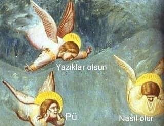 IMG_2988.jpeg