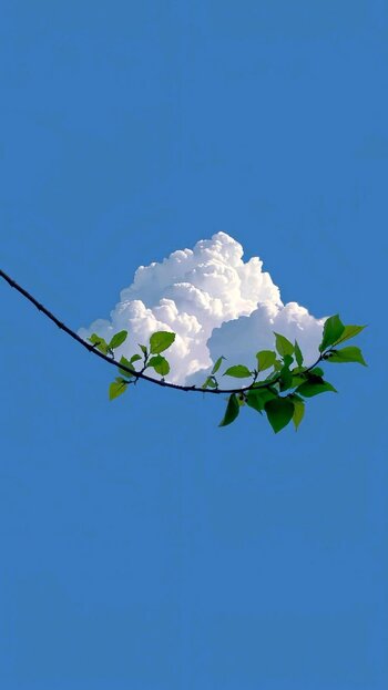 clouds.JPEG