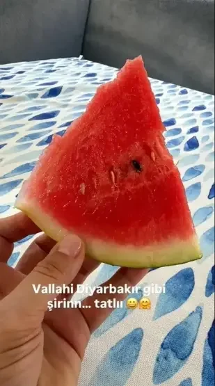 6a8e6f795c644e04cf3aaf45.webp