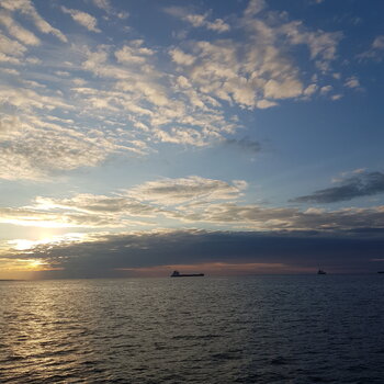 20260826_194232.jpg
