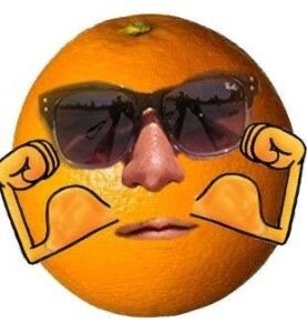 IMG_3621.jpeg IMG_3621.jpeg