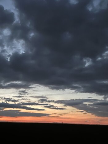 IMG_3653.jpeg