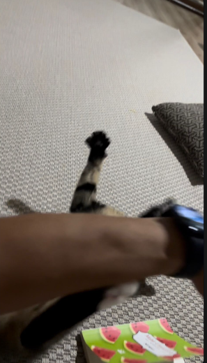 1788330014918.png 1788330014918.png