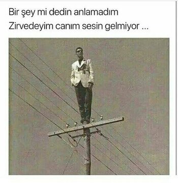 IMG_0803.jpeg