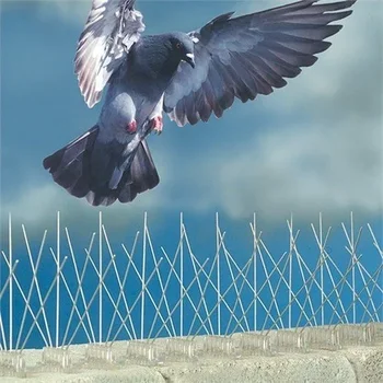1000081149.webp