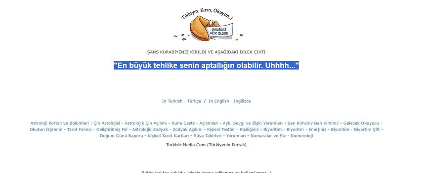şans.jpg