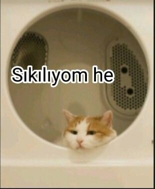 Sıkılıyom yaa.jpeg