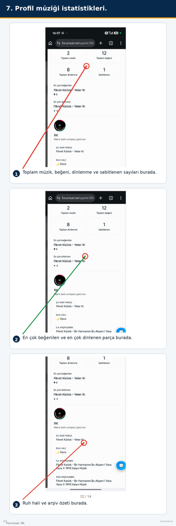 07_7_Profil_müziği_istatistikleri.png 07_7_Profil_müziği_istatistikleri.png