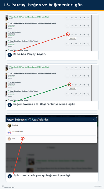 13_13_Parçayı_beğen_ve_beğenenleri_gör.png 13_13_Parçayı_beğen_ve_beğenenleri_gör.png