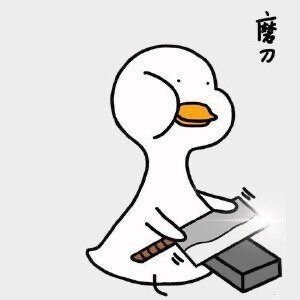 IMG_9422.jpeg