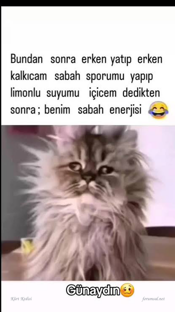 1789538068875.png