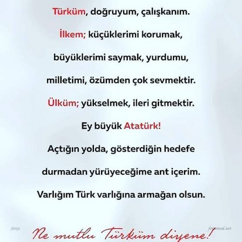 1789572712847.png 1789572712847.png