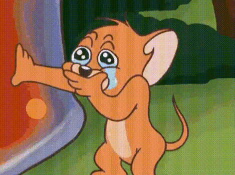 (invalid)_20250512_1.gif