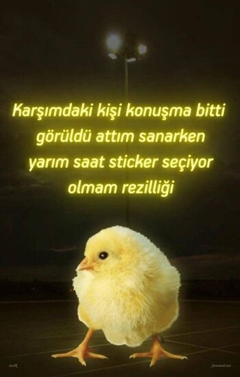 IMG_9445.jpeg