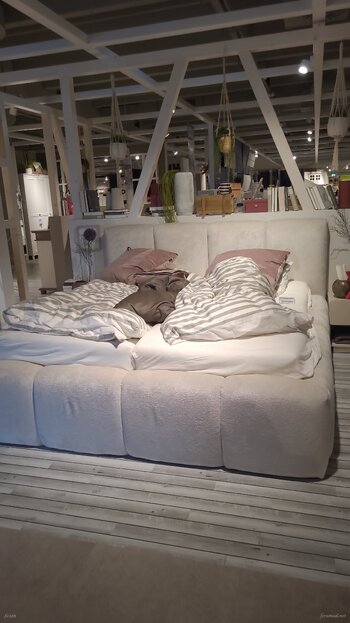 IMG-20260921-WA0007.jpeg