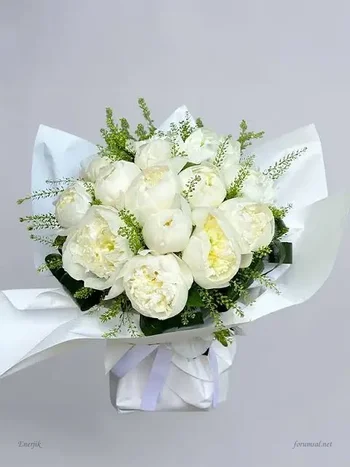 26921.webp