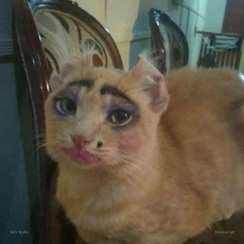 1790283650317.png